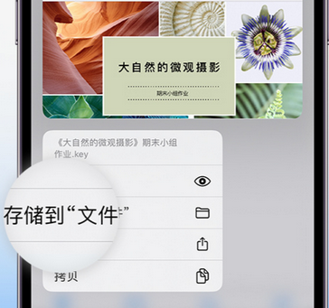 子长apple维修中心分享iPhone文件应用中存储和找到下载文件