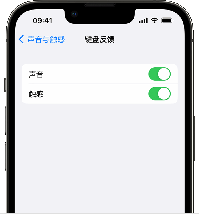 子长苹果14维修店分享如何在 iPhone 14 机型中使用触感键盘 