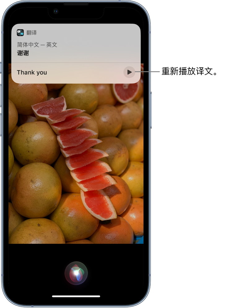 子长苹果14维修分享 iPhone 14 机型中使用 Siri：了解 Siri 能帮你做什么 