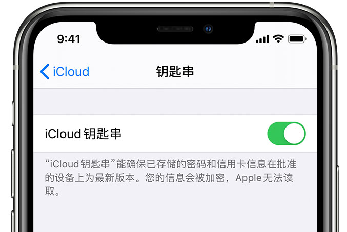 子长苹果手机维修分享在 iPhone 上开启 iCloud 钥匙串之后会储存哪些信息 