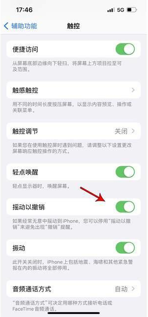 子长苹果手机维修分享iPhone手机如何设置摇一摇删除文字 